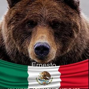 Meet your Posher, Ernesto